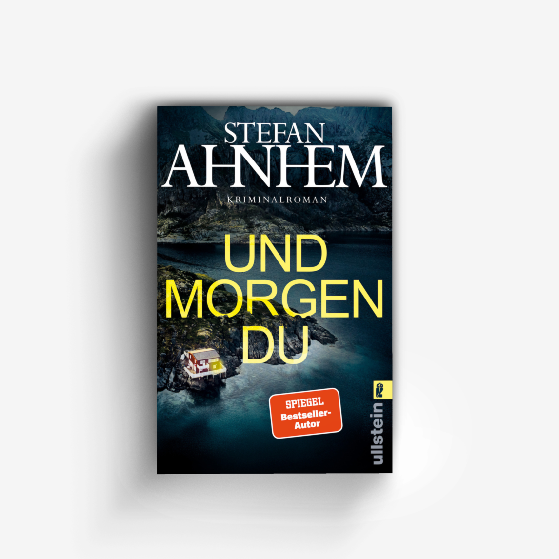 Buchcover von Und morgen du (Ein Fabian-Risk-Krimi 1)