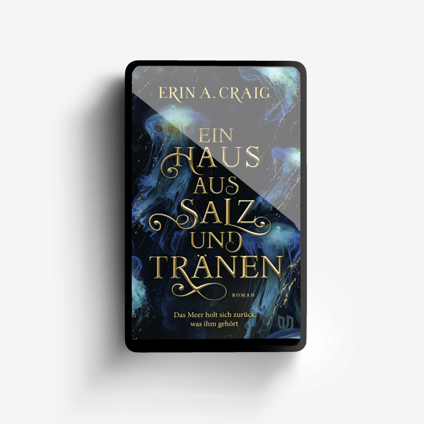 Buchcover von Ein Haus aus Salz und Tränen