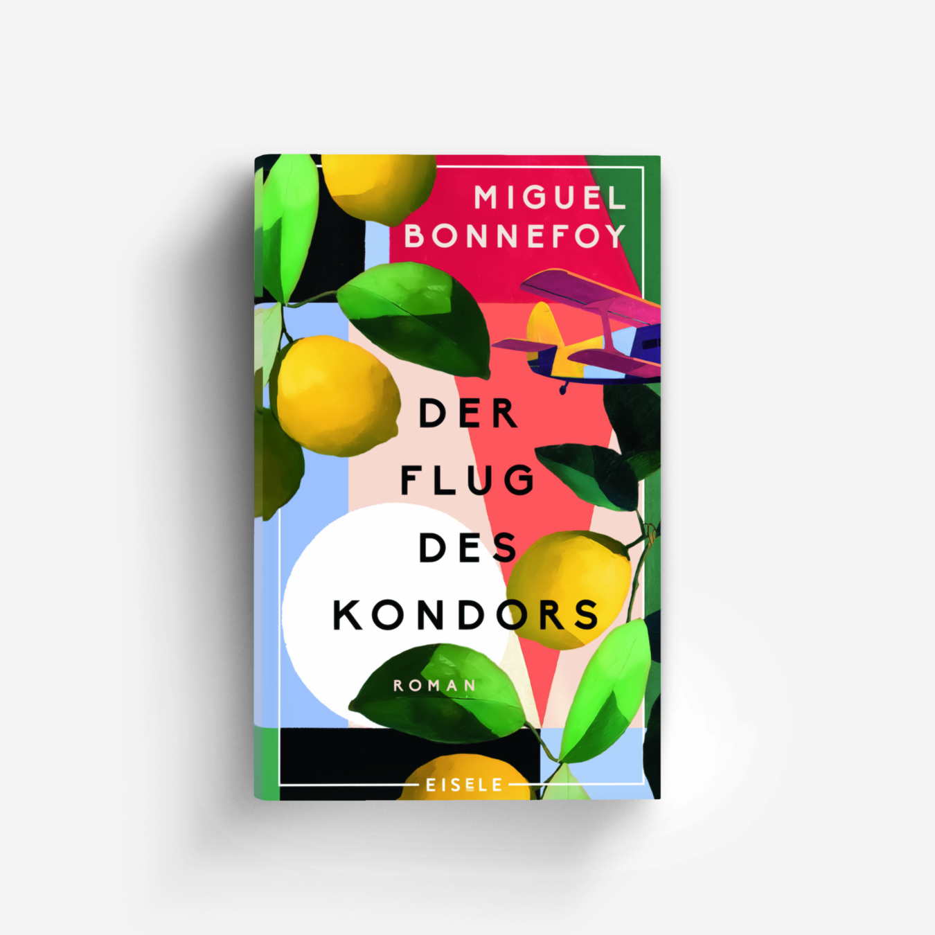 Buchcover von Der Flug des Kondors