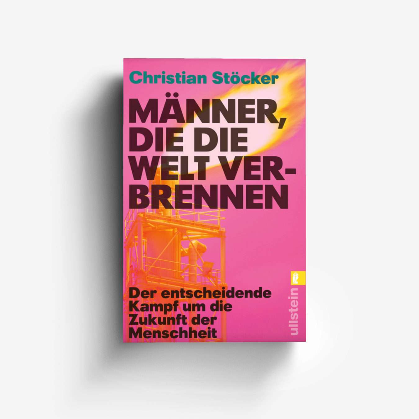 Buchcover von Männer, die die Welt verbrennen