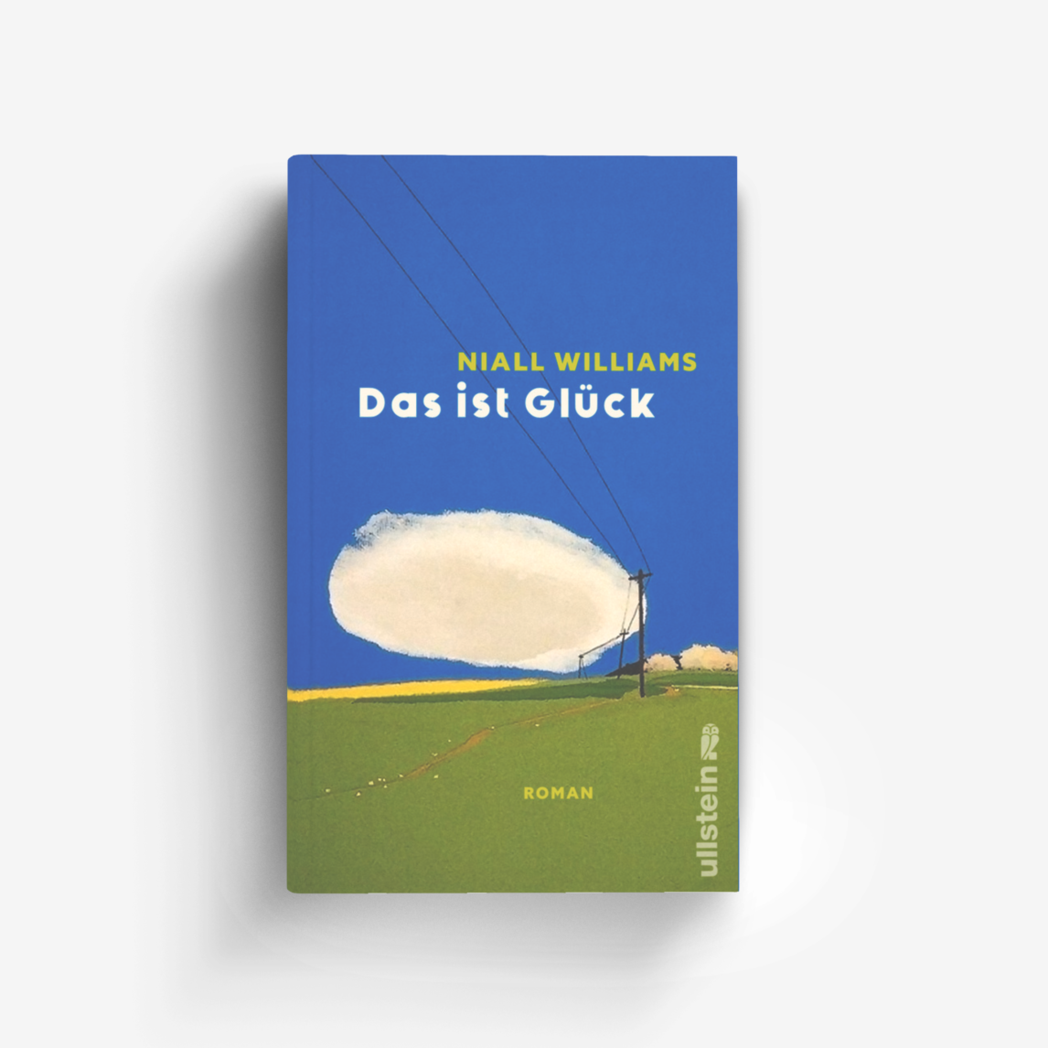 Buchcover von Das ist Glück