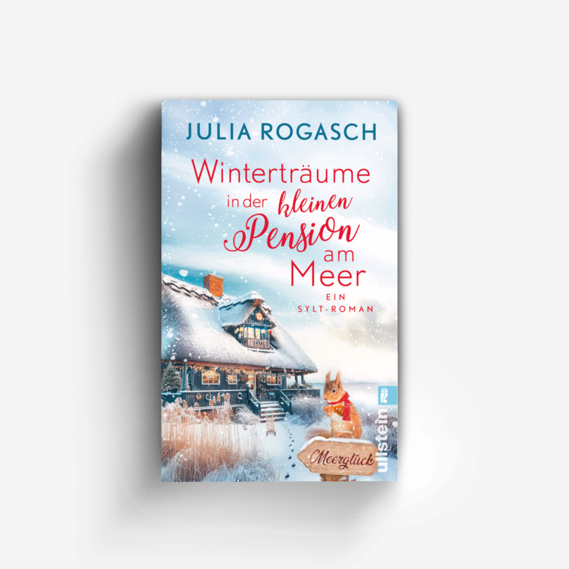 Buchcover von Winterträume in der kleinen Pension am Meer