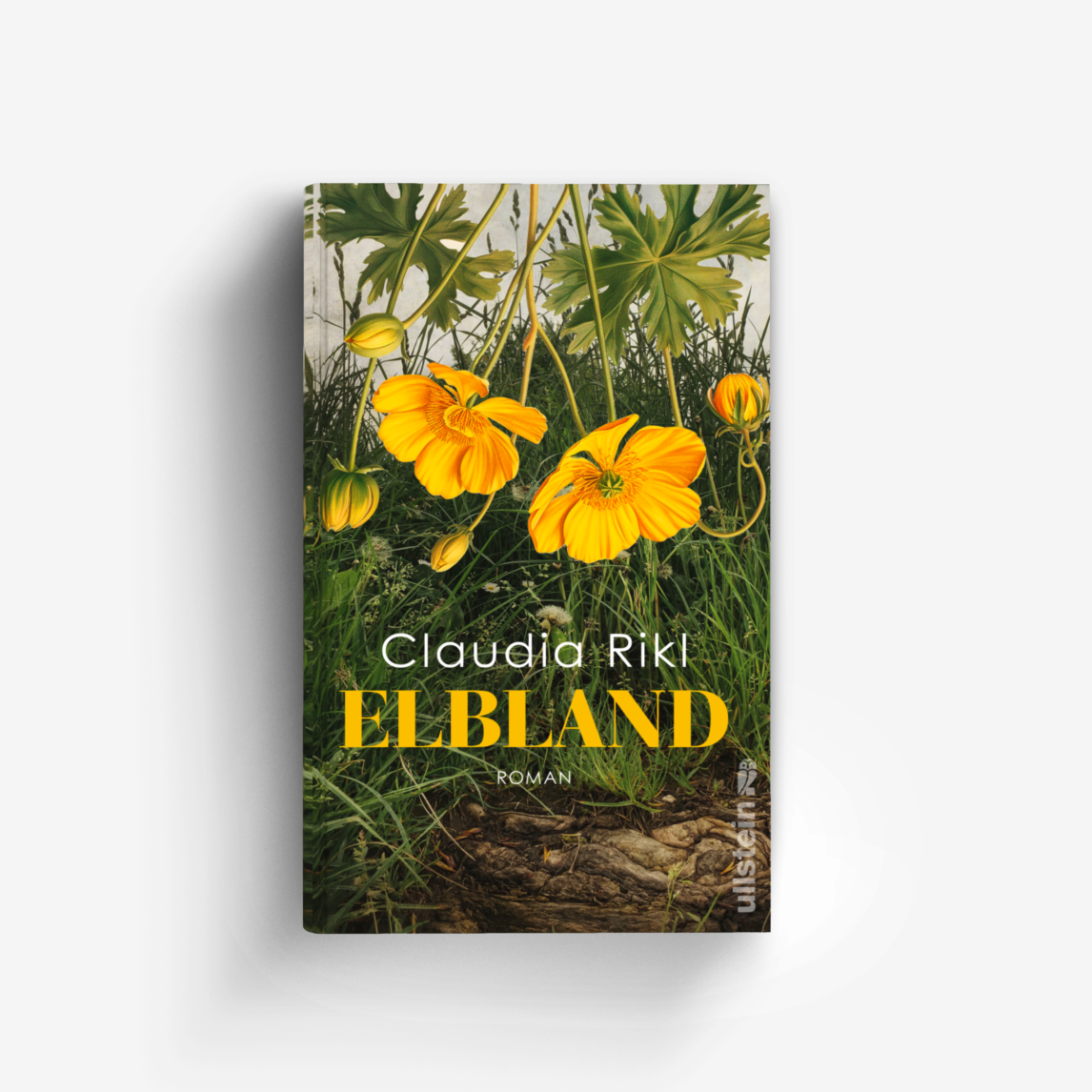 Buchcover von Elbland