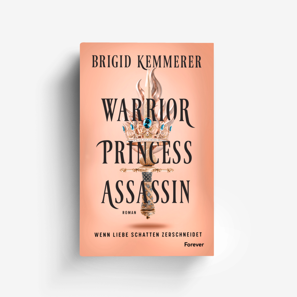 Buchcover von Warrior Princess Assassin (The Assassin and the Princess 1)