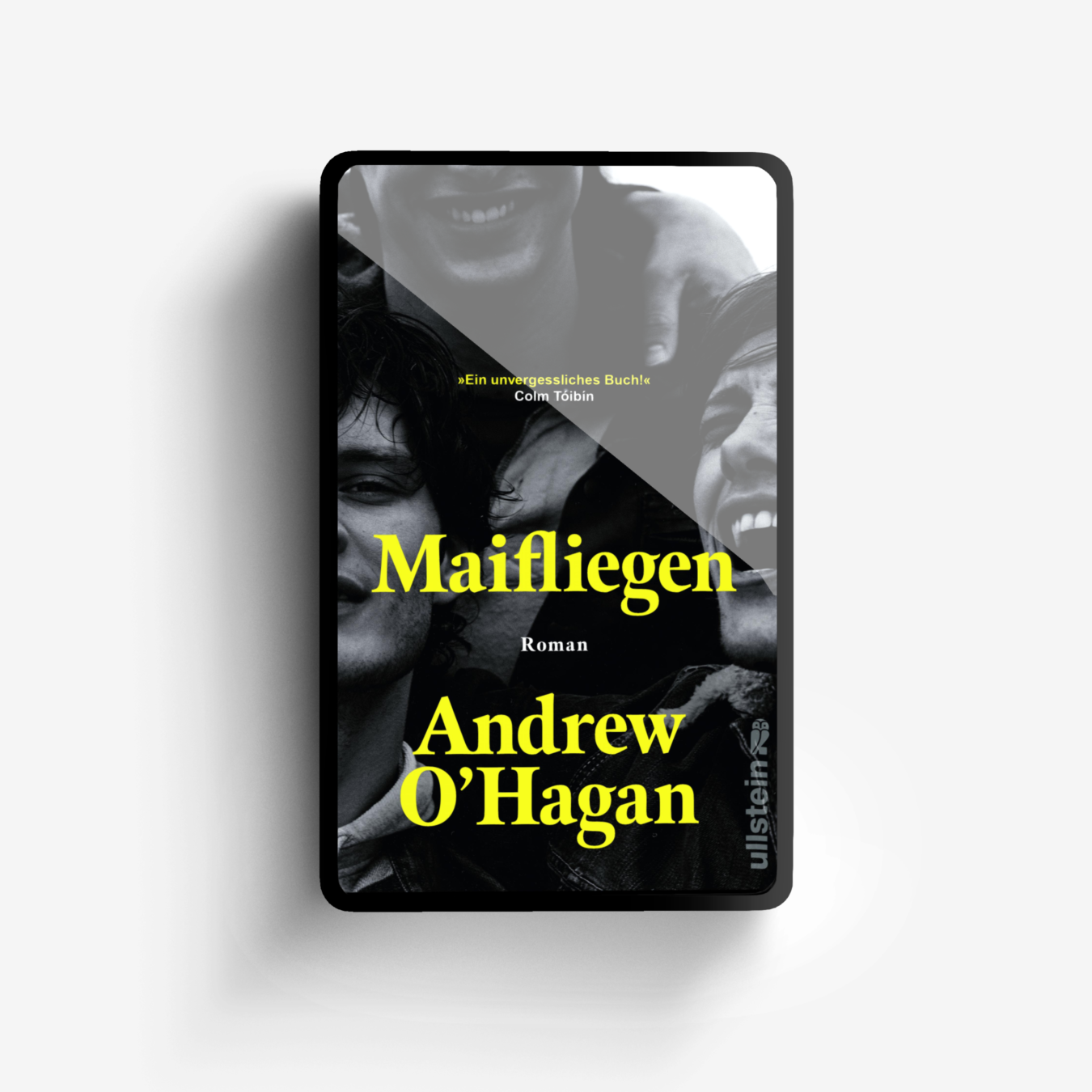 Buchcover von Maifliegen