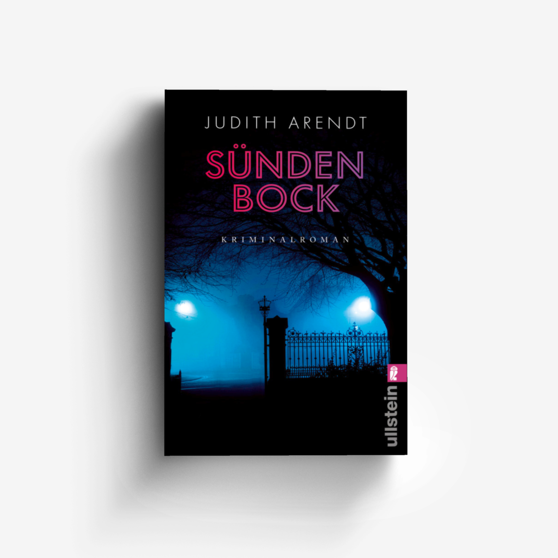 Buchcover von Sündenbock (Ein Fall für Schöffin Ruth Holländer 2)