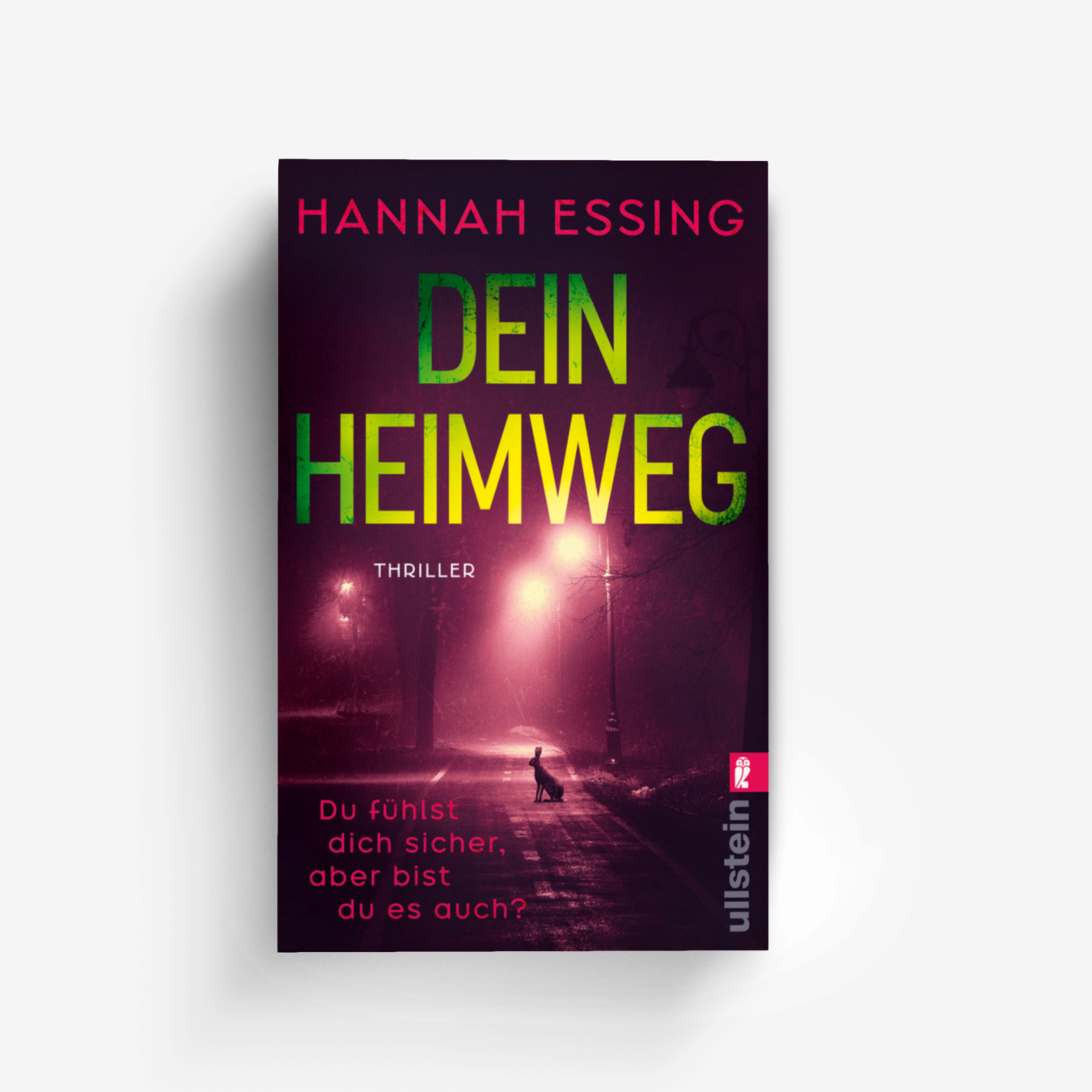 Buchcover von Dein Heimweg