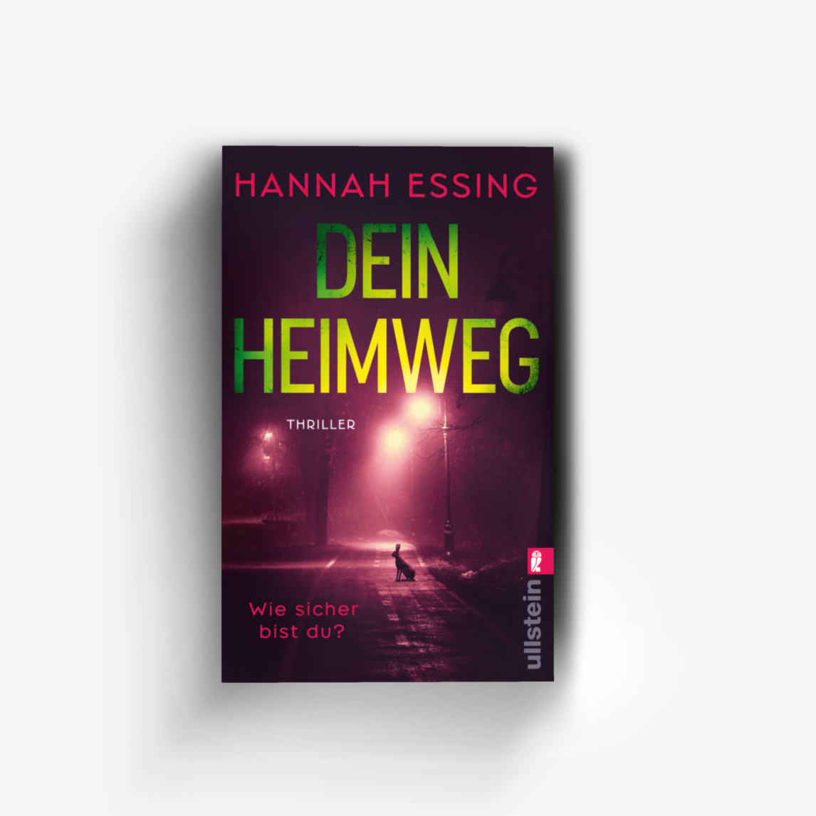 Buchcover von Dein Heimweg