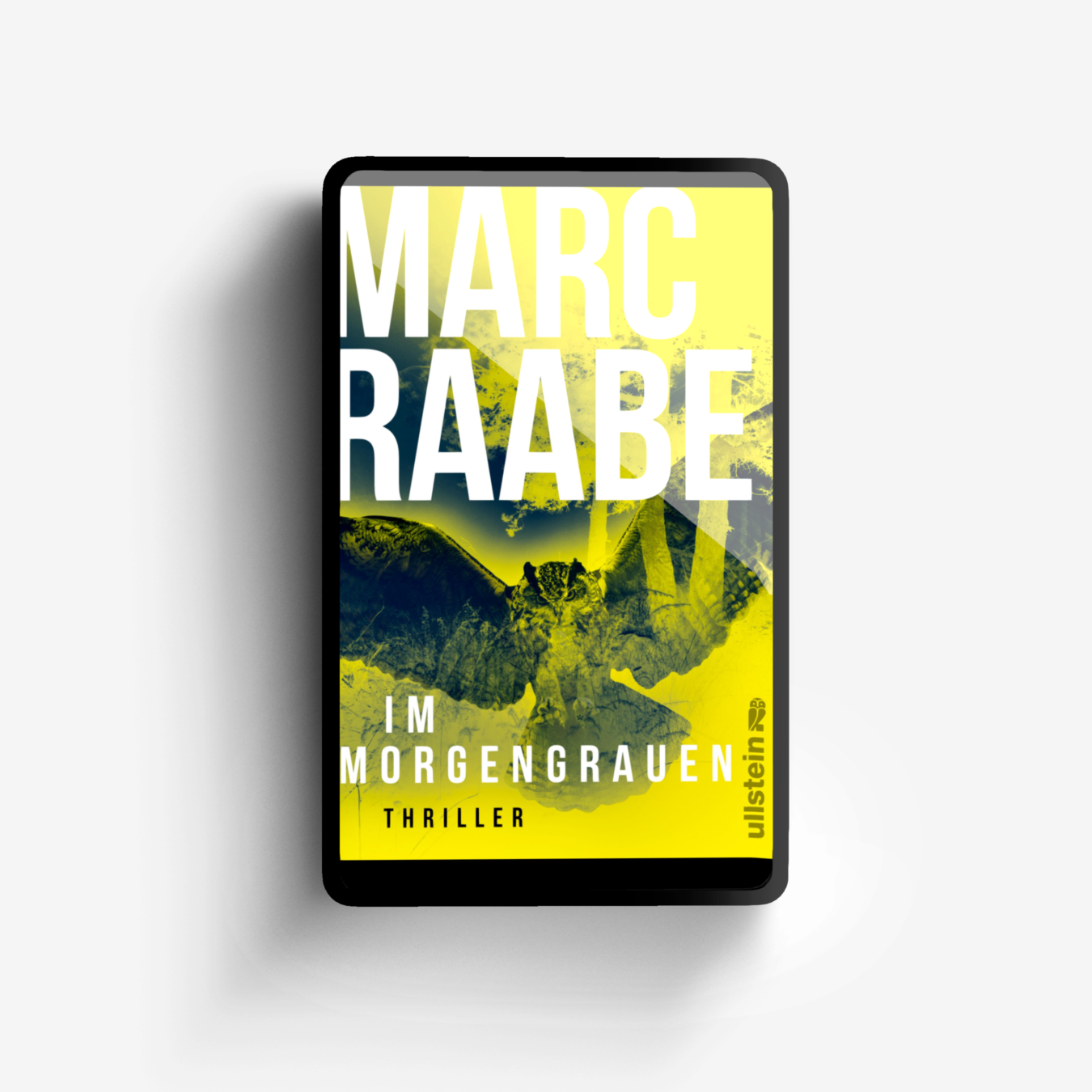 Buchcover von Im Morgengrauen (Art Mayer-Serie 4)