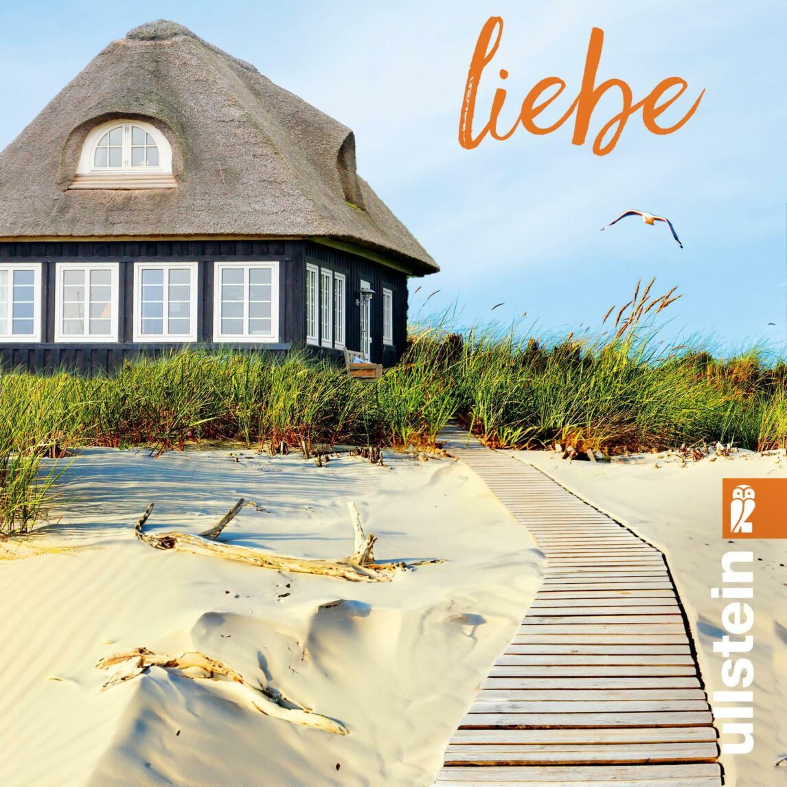Buchcover von Nordseewellen und Treibholzliebe