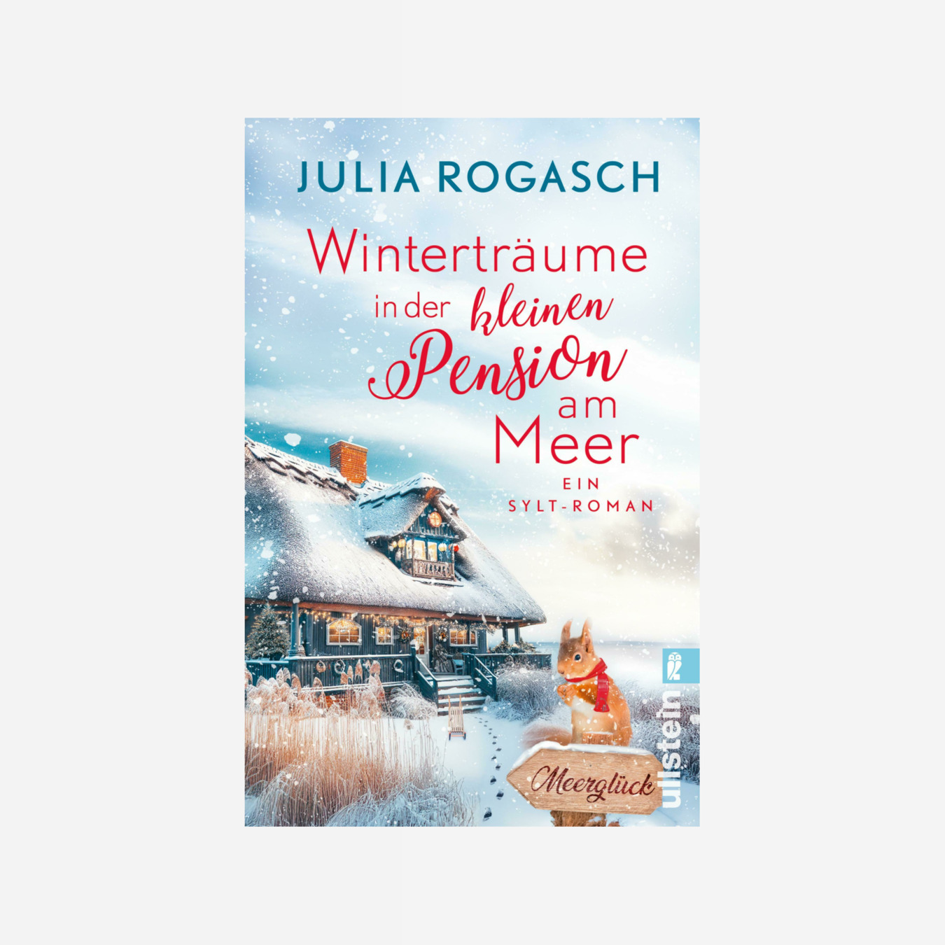 Buchcover von Winterträume in der kleinen Pension am Meer