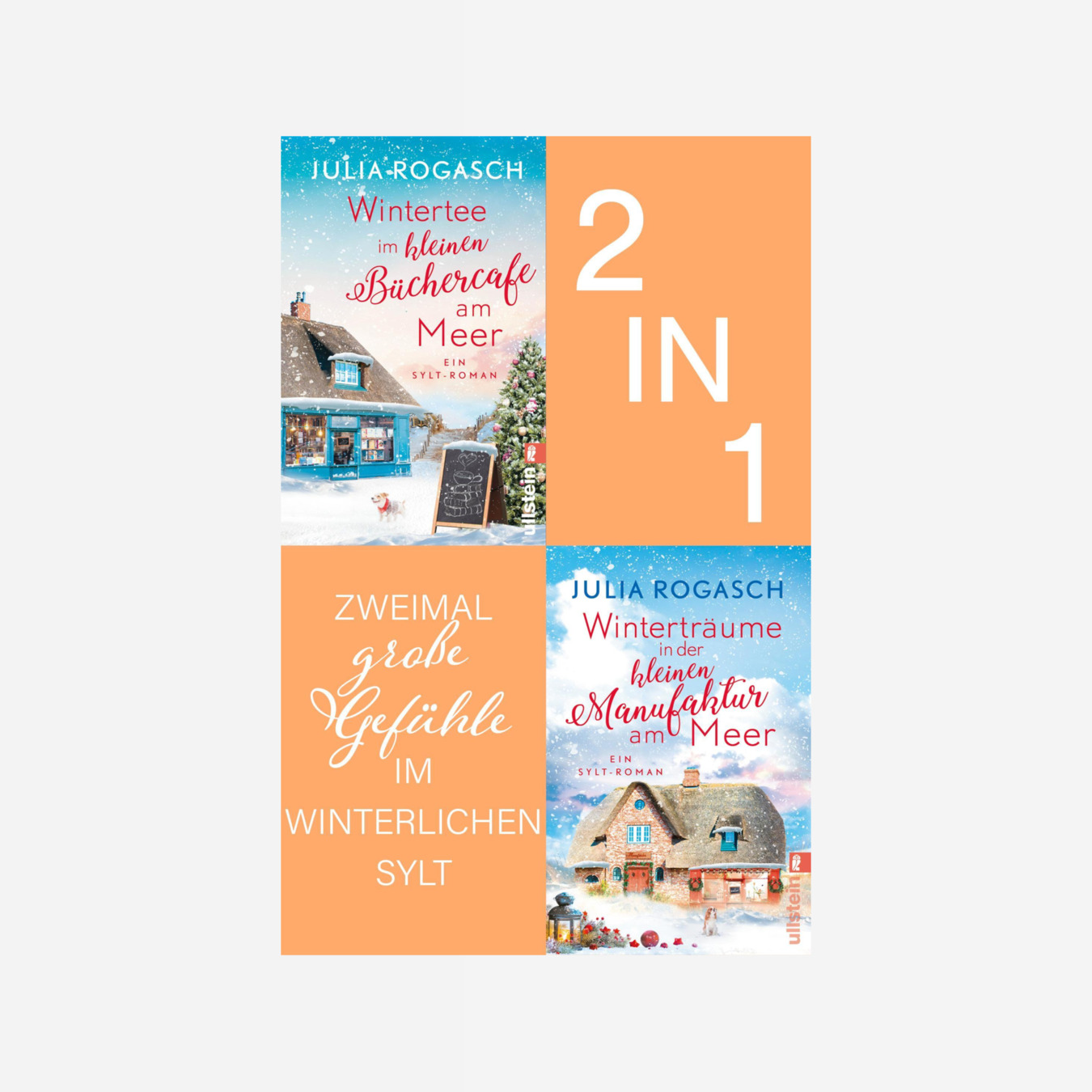 Buchcover von Wintertee im kleinen Büchercafé am Meer // Winterträume in der kleinen Pension am Meer