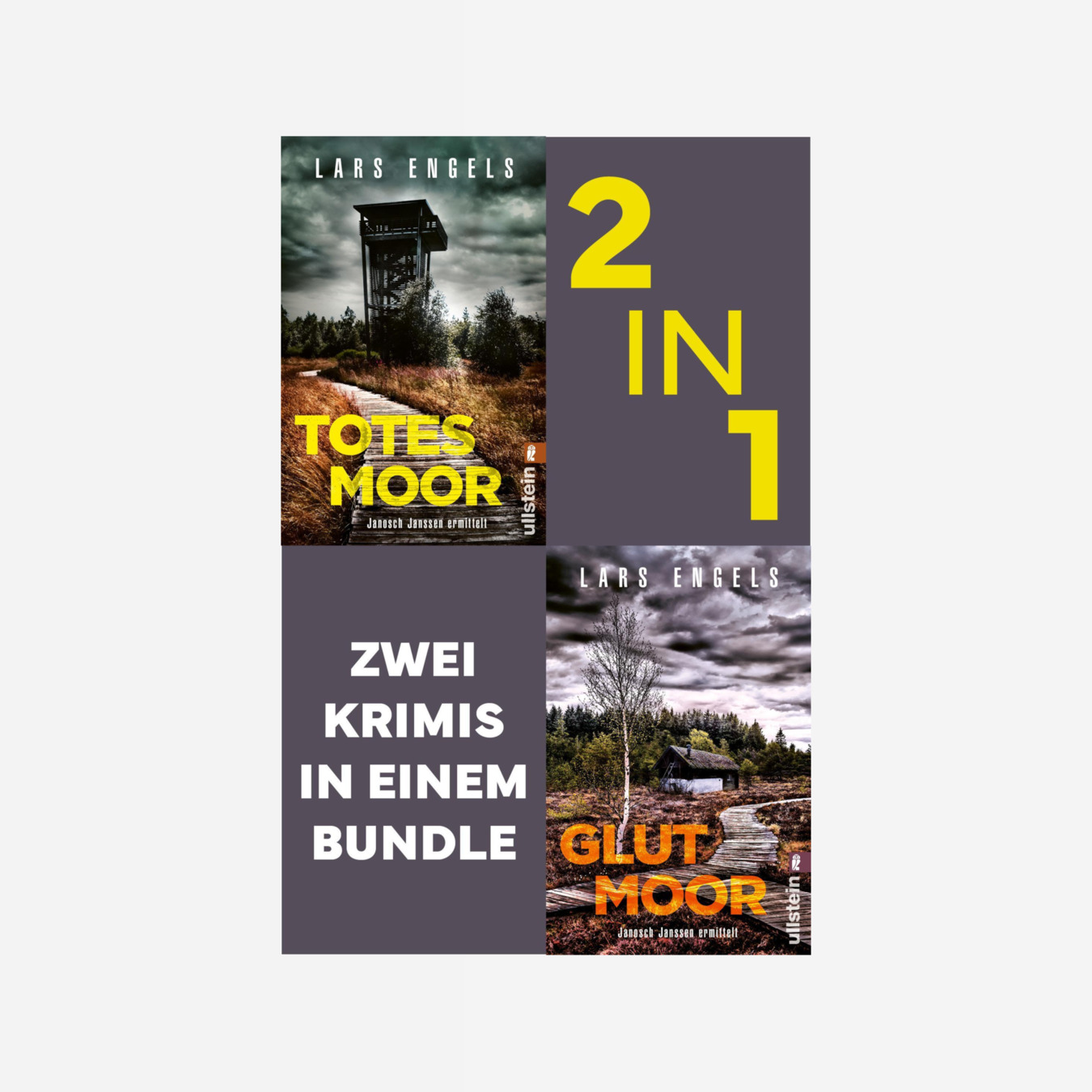 Buchcover von Totes Moor // Glutmoor